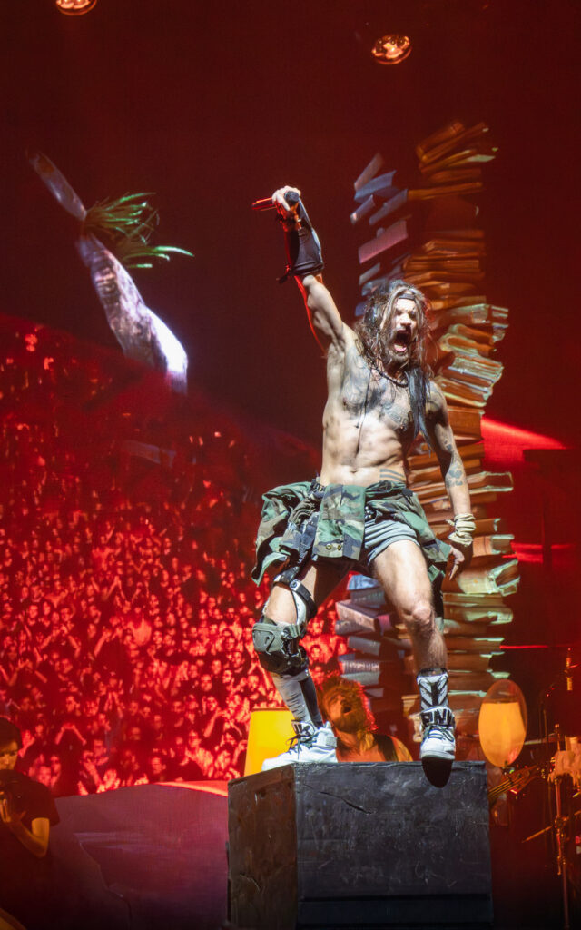 Shaka Ponk